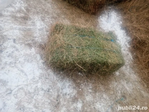 Baloți de lucernă  - imagine 2