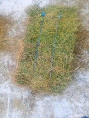 Baloți de lucernă  - imagine 3