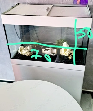 Acvariu complet Oase 125 - imagine 4