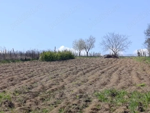 Casă de vânzare  - imagine 5