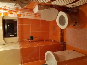 Vand casa in Mal Otelu Rosu - imagine 2