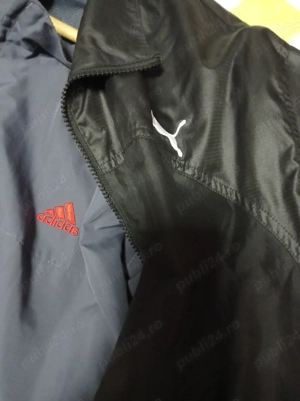 Geci de iarnă  - imagine 3