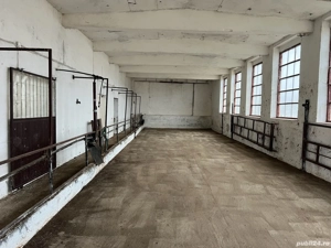 Asociere HALA Inalta JUD TIMIS LA 8km de A1, posibilitate extindere 4ha intravinal