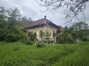 Proprietate cu potential turistic in Gurahont