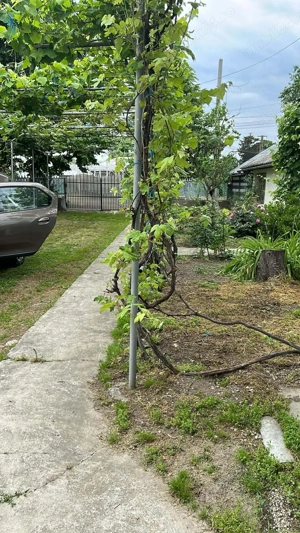 Prorietate mixta: teren - casa - anexe: Poroinica, Dambovita