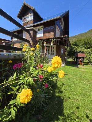 Inchiriez  Casa Eby - imagine 5