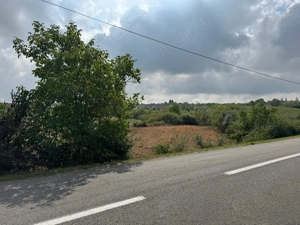 Vand teren zona Paleu, la drum judetean, la 7km de Oradea 