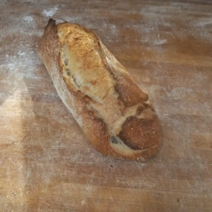 Brutar (pâine și pizza) 