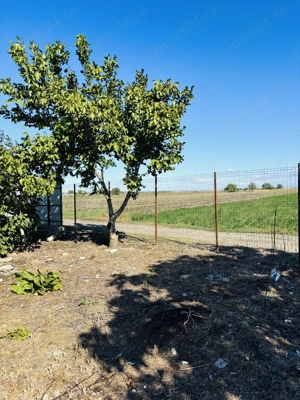 Teren Petresti Vanatori 607mp  - imagine 2