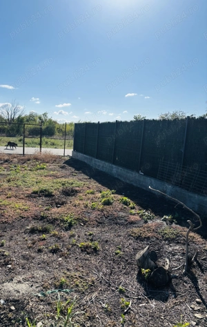 Teren Petresti Vanatori 607mp  - imagine 5