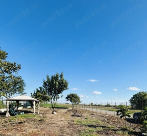 Teren Petresti Vanatori 607mp 