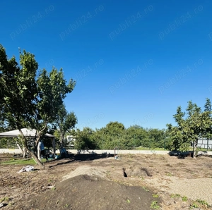 Teren Petresti Vanatori 607mp  - imagine 4