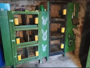 Boxe Cotețe Iepuri  - imagine 4