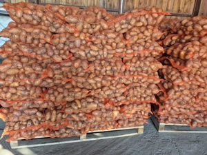 Cartof samanta - imagine 2