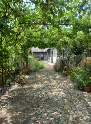 Gospodărie Completă, 130 mp, 1.300 mp Teren, zona Doicești