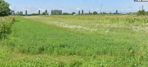 Teren intravilan 2400 m , cu ieșire la DJ717   Comuna Aninoasa