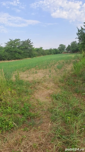 Teren intravilan Lilieci sos Lilieci-Hagiesti - imagine 2