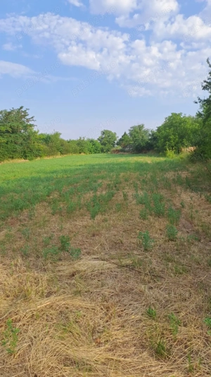 Teren intravilan Lilieci sos Lilieci-Hagiesti - imagine 3