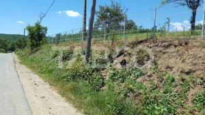 Teren 1974 mp intravilan de vanzare in Loman judetul Alba - imagine 2