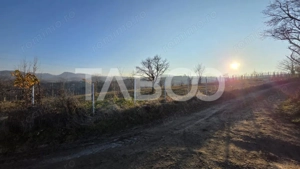 Teren 1974 mp intravilan de vanzare in Loman judetul Alba - imagine 5