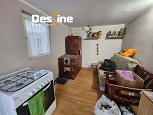 Casa cu etaj si mansarda, 7.200 mp teren, in comuna Probota  - imagine 15