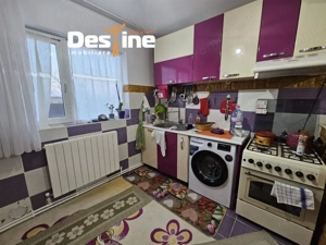 Casa cu etaj si mansarda, 7.200 mp teren, in comuna Probota  - imagine 8