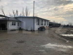 Proprietate de vânzare – 8000 mp teren + construcții și utilități