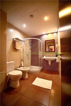 Timisoara, OPORTUNITATE INVESTITIE, hotel, clinica sau azil, 41 camere - imagine 15