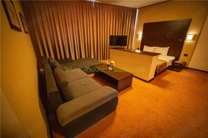 Timisoara, OPORTUNITATE INVESTITIE, hotel, clinica sau azil, 41 camere - imagine 16