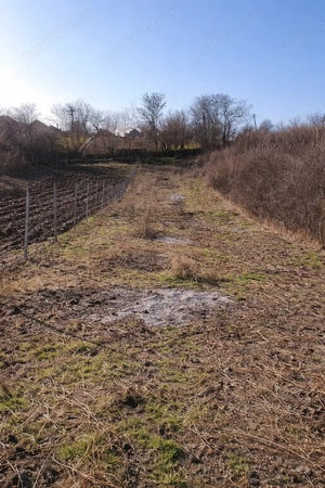 Teren intravilan-comuna Găneasa sat Dranovățu - imagine 3