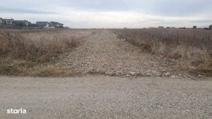 POZE REALE Teren intravilan 300mp - Strada Calugareni - Comuna Berceni - imagine 2
