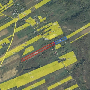 OPORTUNITATE - Investitie teren edificabil 3ha Bunghi - imagine 3