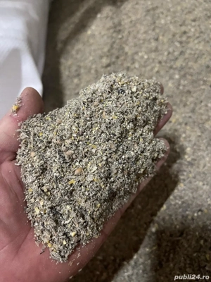 Amestec cereale(grau, floare, porumb)