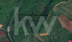 Teren Extravilan de vânzare, Hamba (Sibiu), 38.400 mp (3,84 ha), Pret competitiv - imagine 2