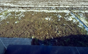 Duplex modern cu 4 camere si 2 bai | Dumbravita - imagine 9