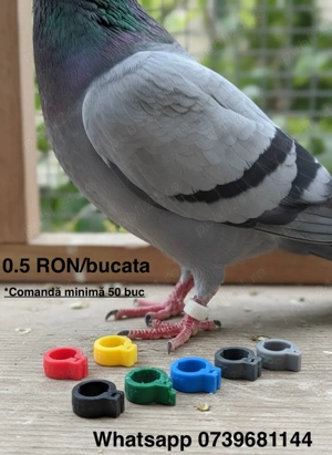 Cleme pentru porumbei personalizate   ideal pentru crescători!      