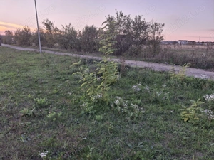 Terenuri intravilan de vanzare Priseaca, strada Infratirii - imagine 7