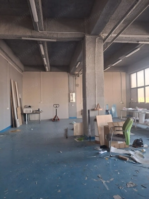 Spatii depozitare/productie 163 mp ,Th Pallady