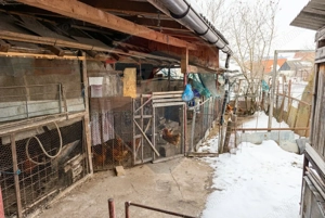 Casă cu 3 camere - str Ortodoxa - imagine 19