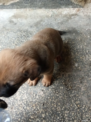 100euro mascul - imagine 4