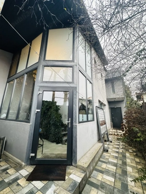 Vila in zona centrala, Pisica Alba