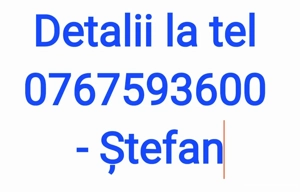 Casă la rosu cu teren în Tecuci, Satu Nou - imagine 8