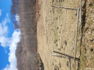 vanzare teren intravilan la munte  - imagine 2