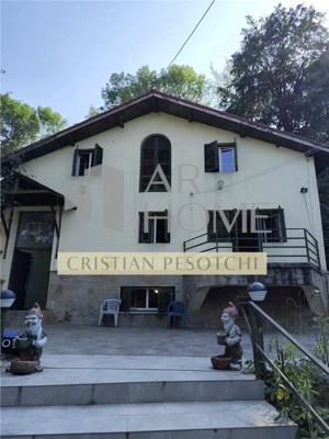 Vila superba 7 camere, Provita de Jos, 22.000 mp teren