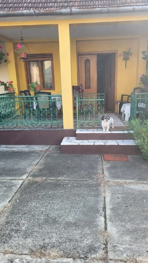 Casa de vanzare  - imagine 2