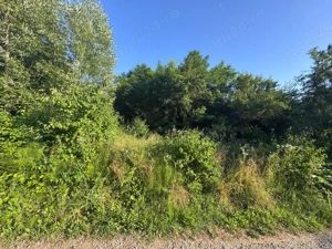 Teren de vanzare Calinesti Arges - imagine 5