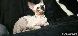 Suntem 2 motani  - imagine 3