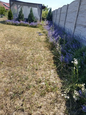 VAND TEREN 2008MP in ALBESTI pe strada Colonel Ioan Angelescu - imagine 5