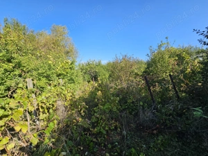 Casa cu teren Conduratu la 4 km de Mizil - imagine 3