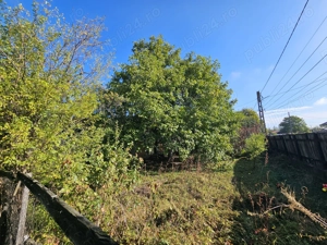 Casa cu teren Conduratu la 4 km de Mizil - imagine 2